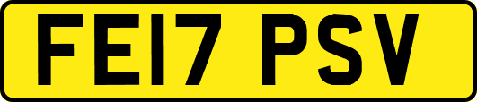FE17PSV