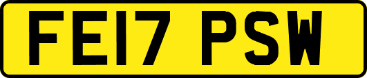 FE17PSW