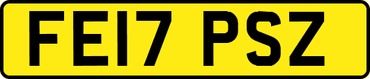 FE17PSZ