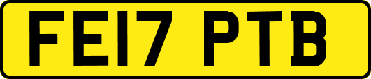 FE17PTB