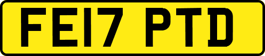 FE17PTD