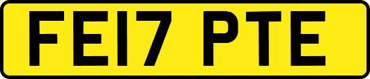 FE17PTE