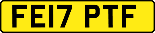 FE17PTF