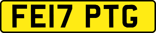 FE17PTG