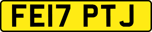 FE17PTJ