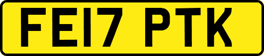 FE17PTK
