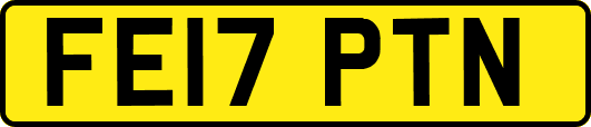 FE17PTN