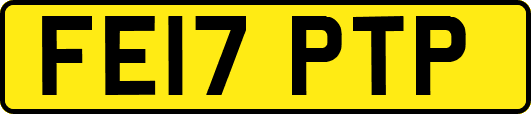 FE17PTP