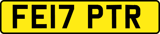 FE17PTR