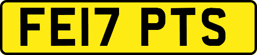 FE17PTS