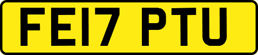 FE17PTU
