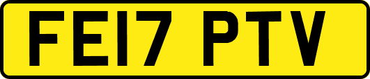 FE17PTV