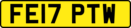 FE17PTW