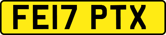 FE17PTX