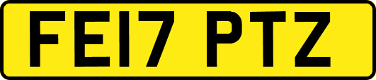 FE17PTZ