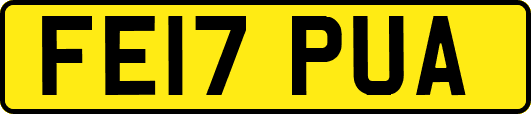 FE17PUA