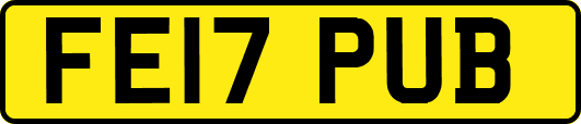 FE17PUB