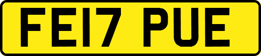 FE17PUE