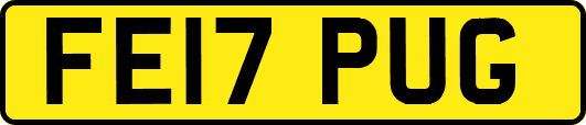 FE17PUG