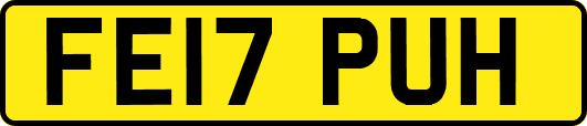 FE17PUH