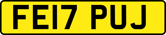 FE17PUJ