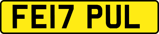 FE17PUL