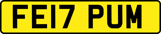 FE17PUM