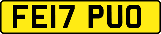 FE17PUO