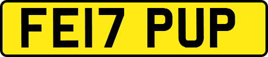 FE17PUP
