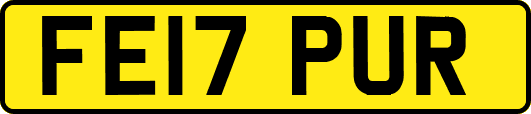 FE17PUR