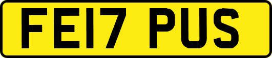 FE17PUS