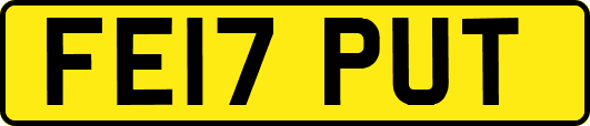 FE17PUT