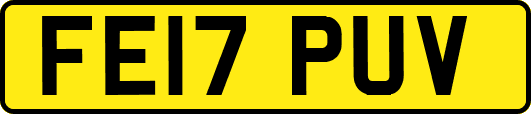 FE17PUV