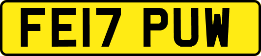 FE17PUW