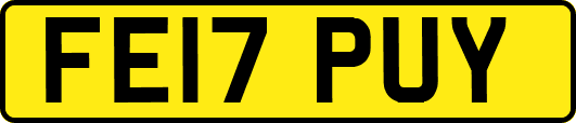 FE17PUY