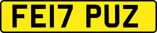 FE17PUZ