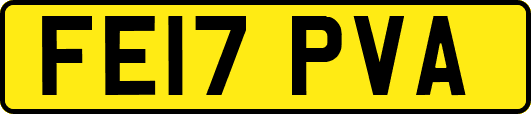 FE17PVA