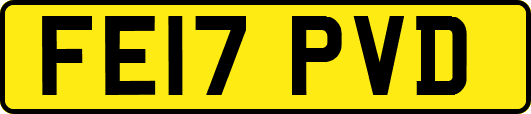 FE17PVD