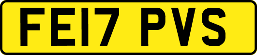 FE17PVS