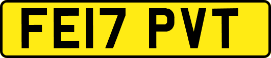 FE17PVT