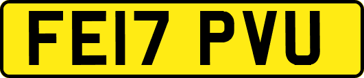 FE17PVU