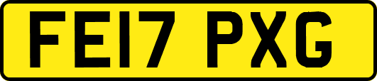 FE17PXG
