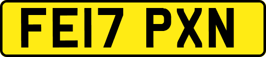 FE17PXN