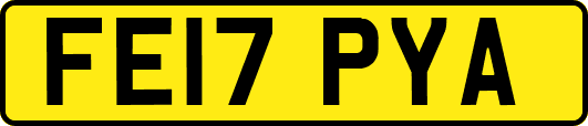 FE17PYA