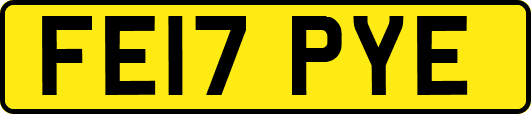 FE17PYE