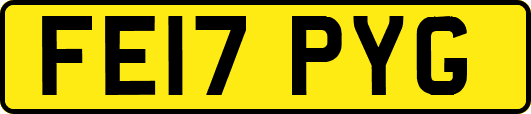 FE17PYG