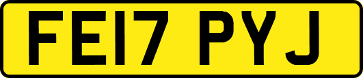 FE17PYJ