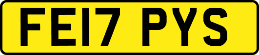 FE17PYS