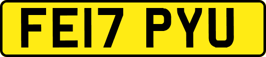 FE17PYU
