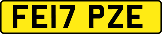 FE17PZE